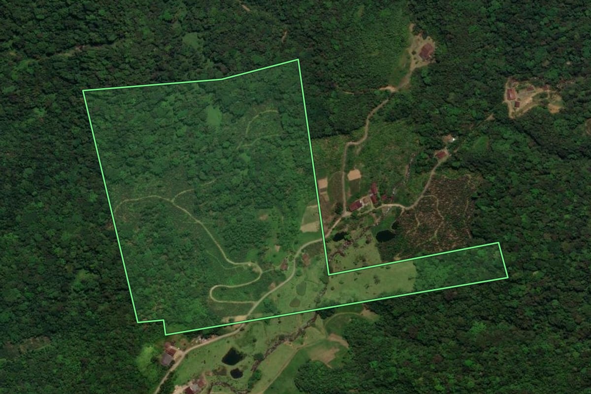 Imagem de satélite do imóvel rural em Schroeder (SC), com o contorno declarado no CAR desenhado por cima.