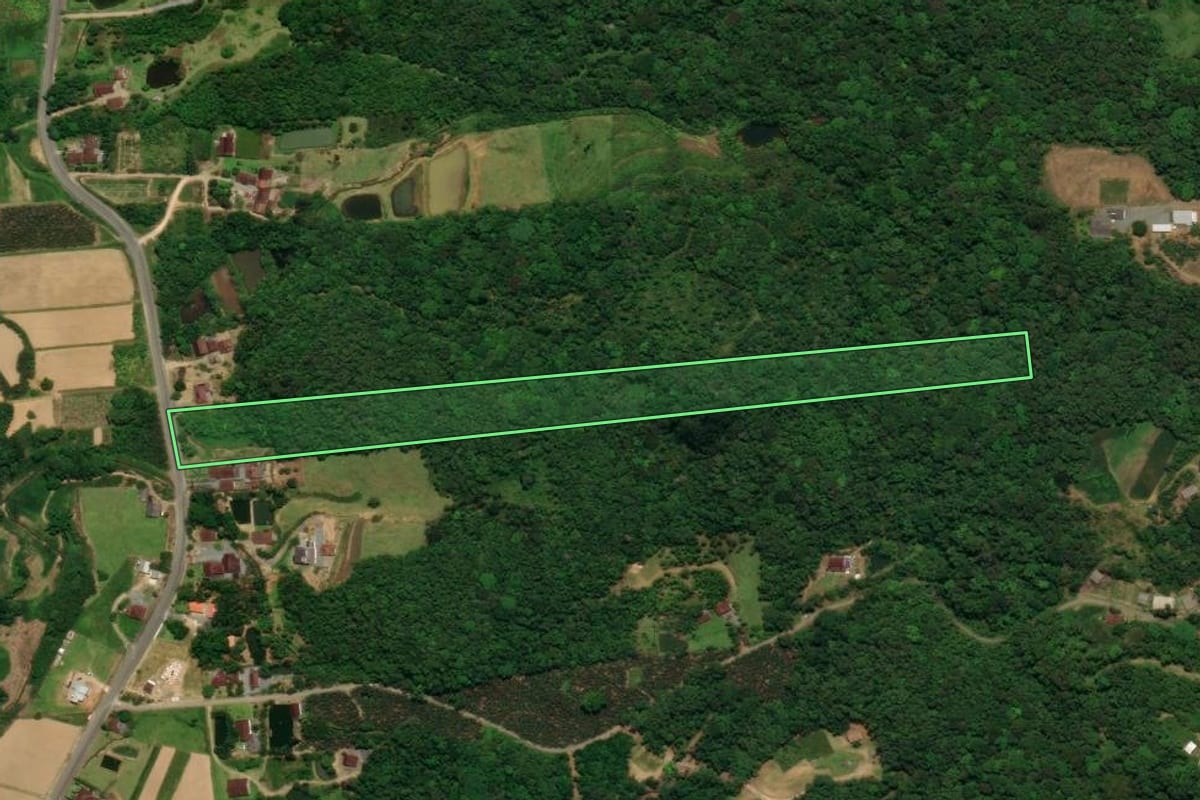 Imagem de satélite do imóvel rural em Schroeder (SC), com o contorno declarado no CAR desenhado por cima.