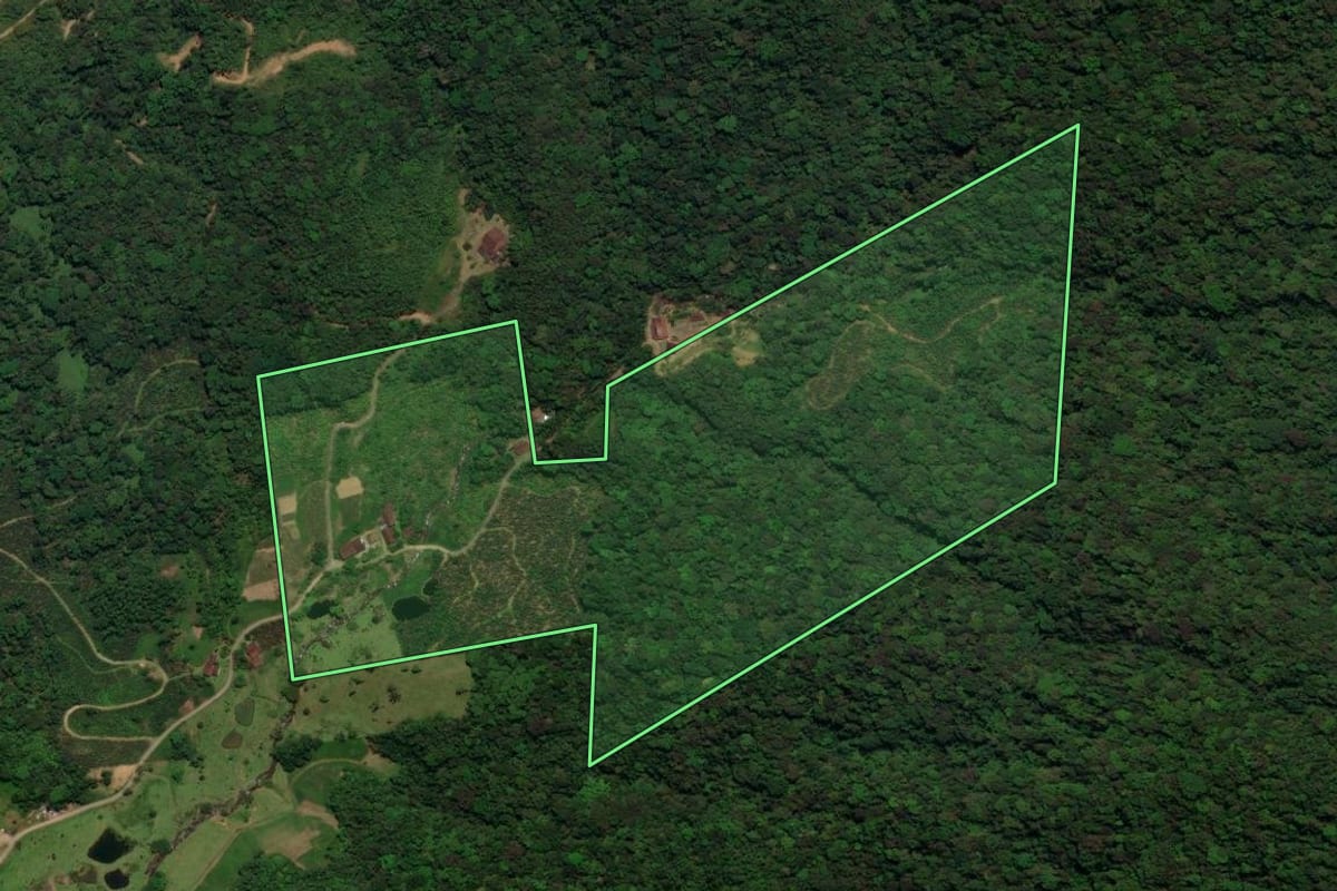 Imagem de satélite do imóvel rural em Schroeder (SC), com o contorno declarado no CAR desenhado por cima.