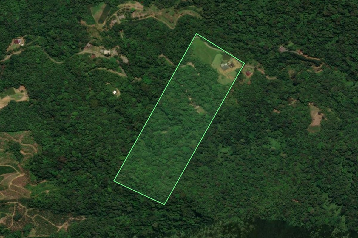 Imagem de satélite do imóvel rural em Schroeder (SC), com o contorno declarado no CAR desenhado por cima.