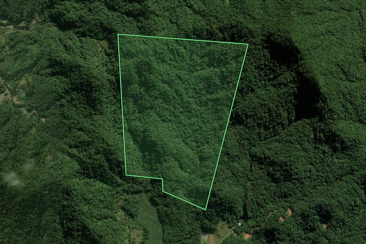 Imagem de satélite do imóvel rural em Schroeder (SC), com o contorno declarado no CAR desenhado por cima.