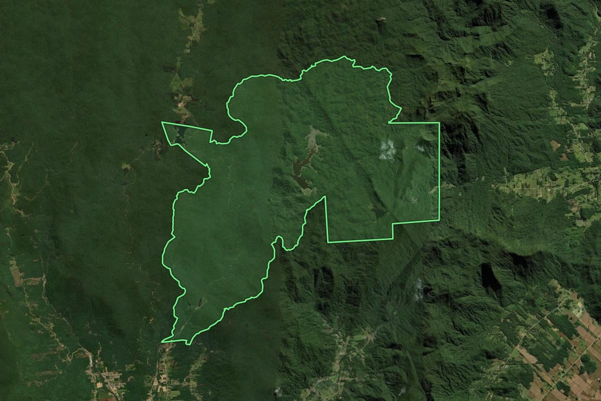 Imagem de satélite do imóvel rural em Joinville (SC), com o contorno declarado no CAR desenhado por cima.