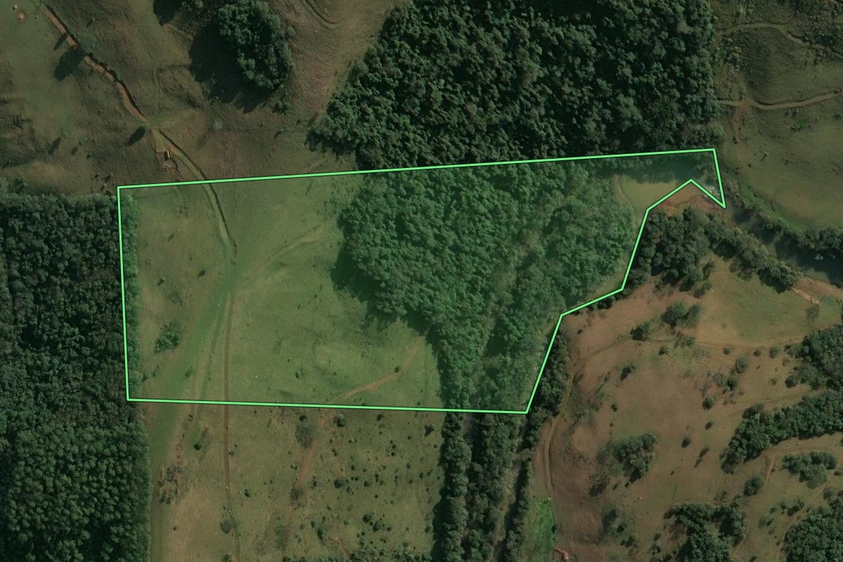 Imagem de satélite do imóvel rural em Seara (SC), com o contorno declarado no CAR desenhado por cima.
