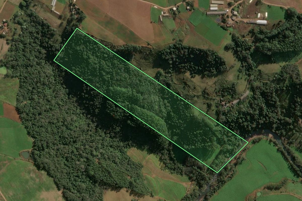 Imagem de satélite do imóvel rural em Seara (SC), com o contorno declarado no CAR desenhado por cima.