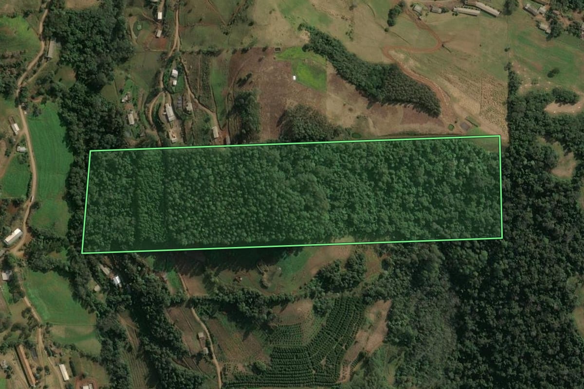 Imagem de satélite do imóvel rural em Seara (SC), com o contorno declarado no CAR desenhado por cima.