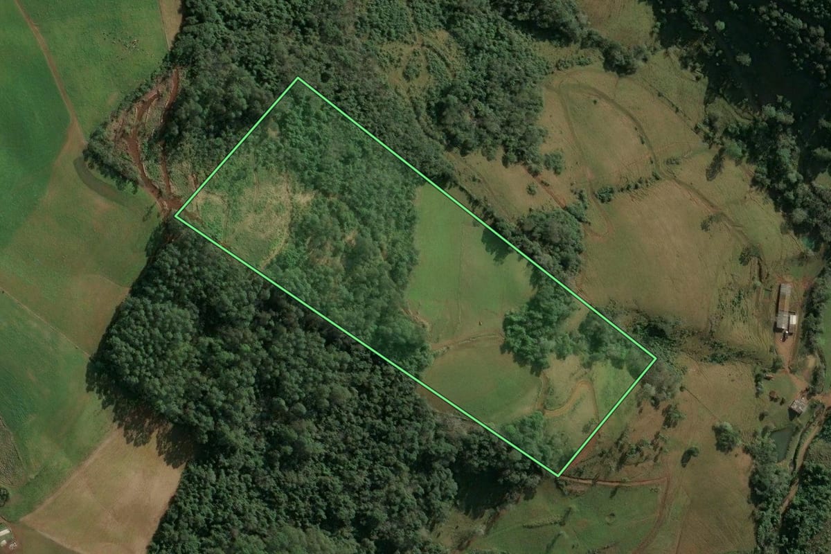 Imagem de satélite do imóvel rural em Seara (SC), com o contorno declarado no CAR desenhado por cima.