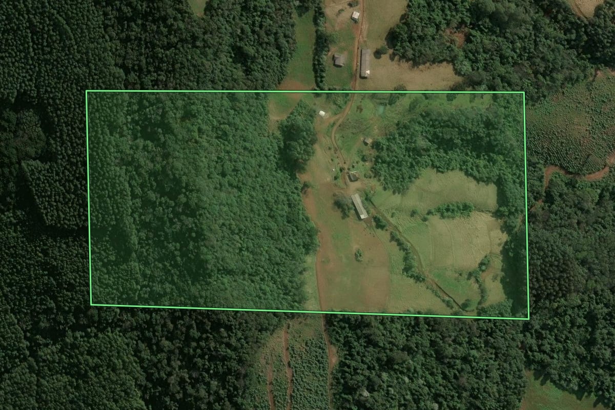 Imagem de satélite do imóvel rural em Seara (SC), com o contorno declarado no CAR desenhado por cima.