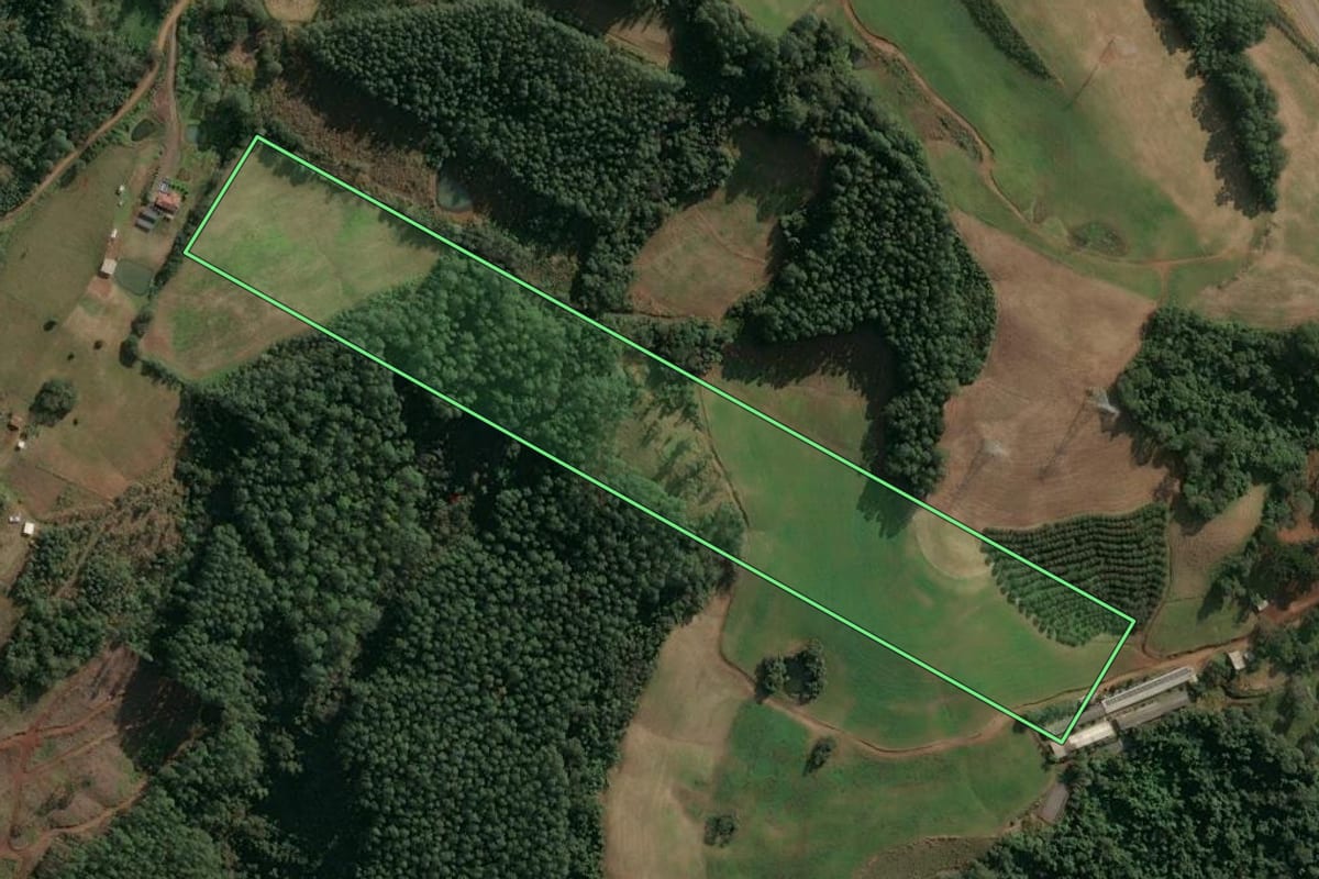 Imagem de satélite do imóvel rural em Seara (SC), com o contorno declarado no CAR desenhado por cima.