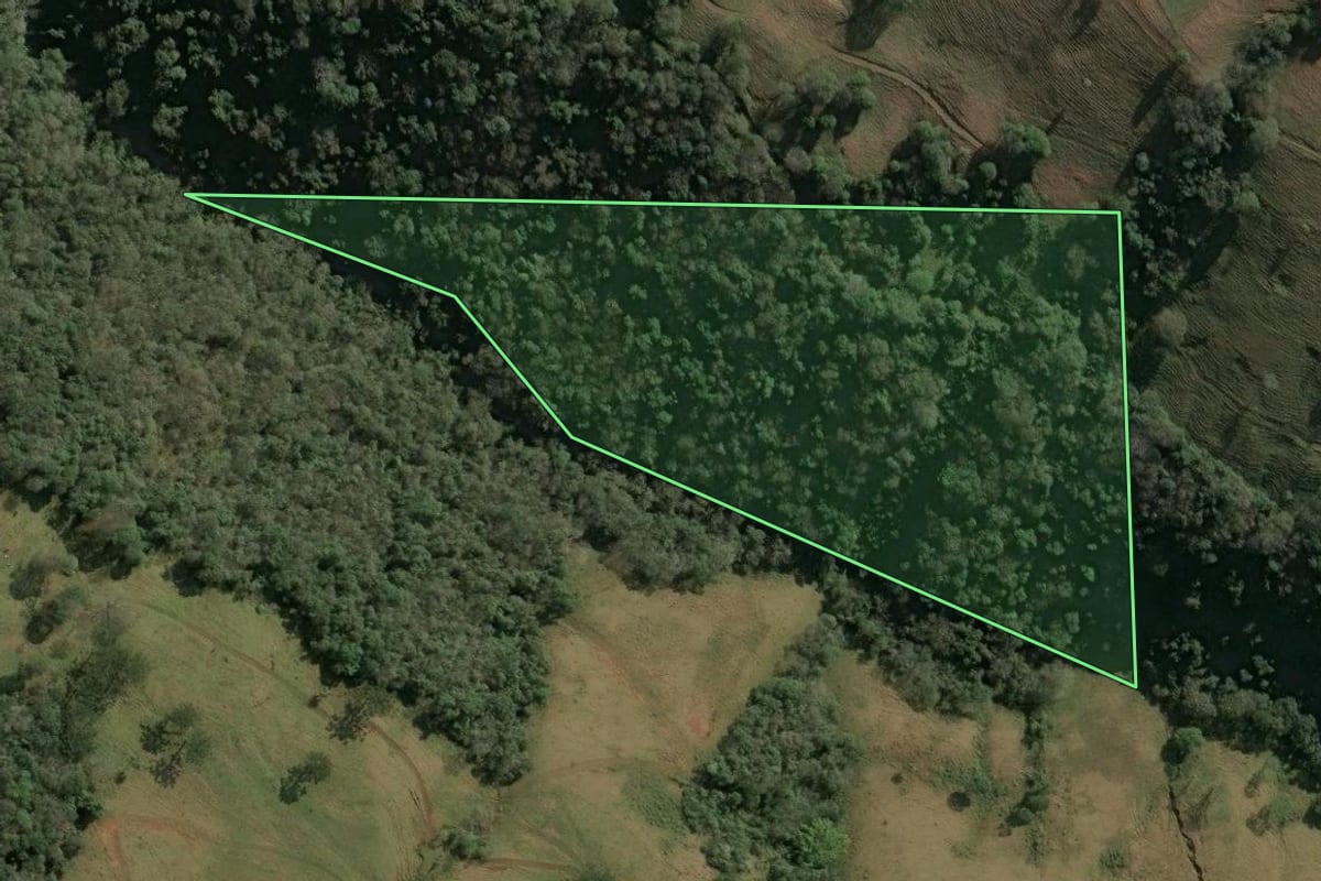 Imagem de satélite do imóvel rural em Seara (SC), com o contorno declarado no CAR desenhado por cima.
