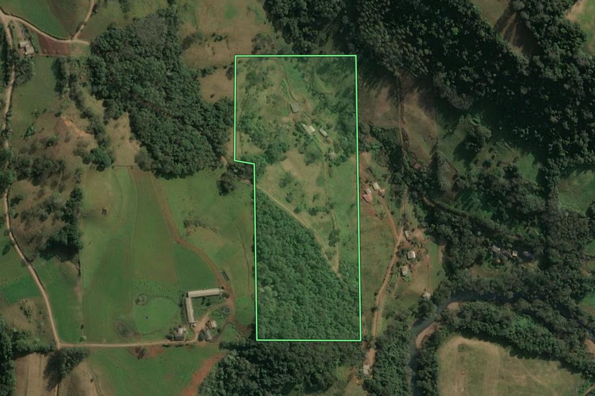 Imagem de satélite do imóvel rural em Seara (SC), com o contorno declarado no CAR desenhado por cima.