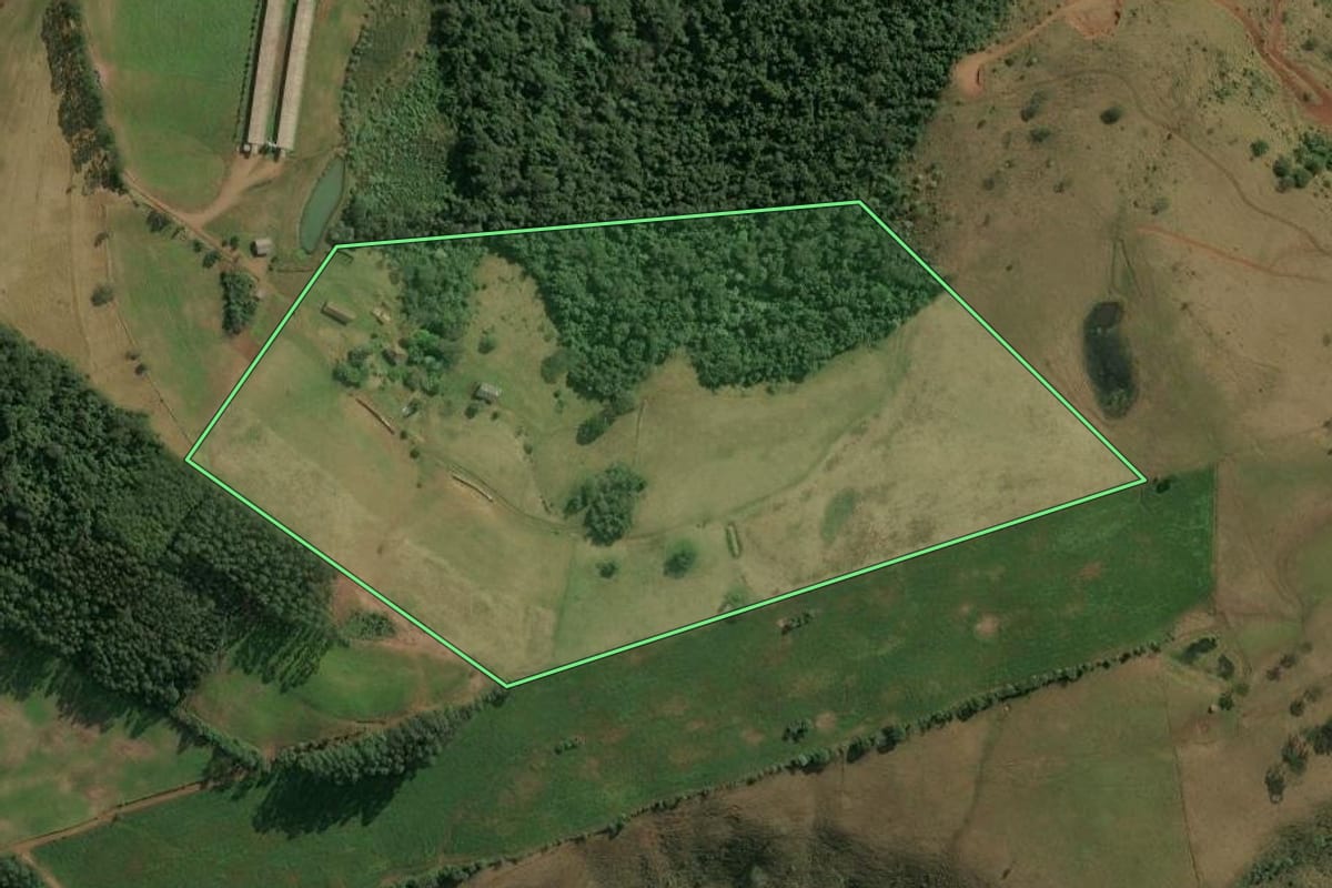 Imagem de satélite do imóvel rural em Seara (SC), com o contorno declarado no CAR desenhado por cima.