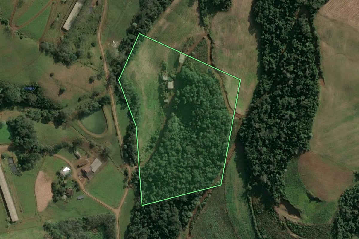 Imagem de satélite do imóvel rural em Seara (SC), com o contorno declarado no CAR desenhado por cima.