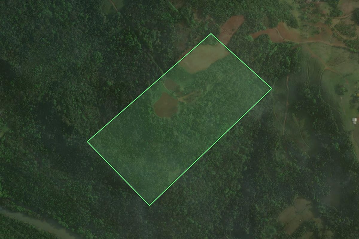 Imagem de satélite do imóvel rural em Seara (SC), com o contorno declarado no CAR desenhado por cima.