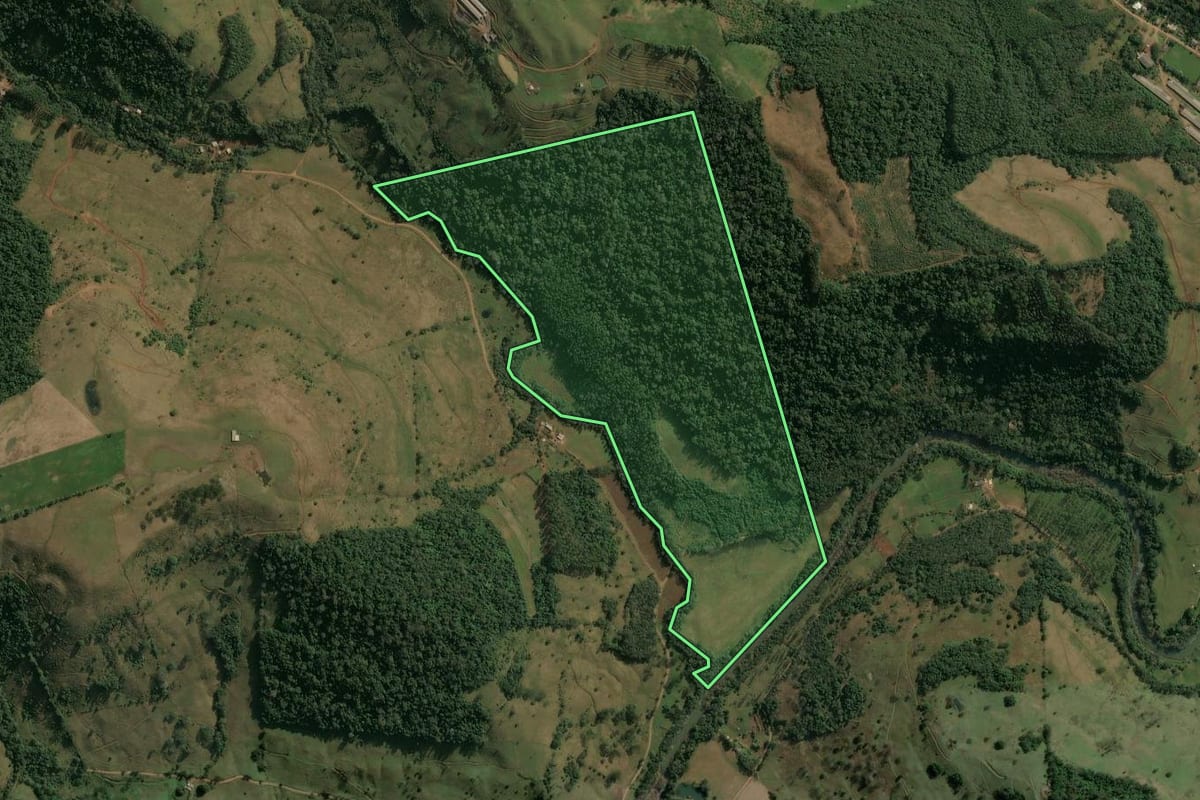 Imagem de satélite do imóvel rural em Seara (SC), com o contorno declarado no CAR desenhado por cima.