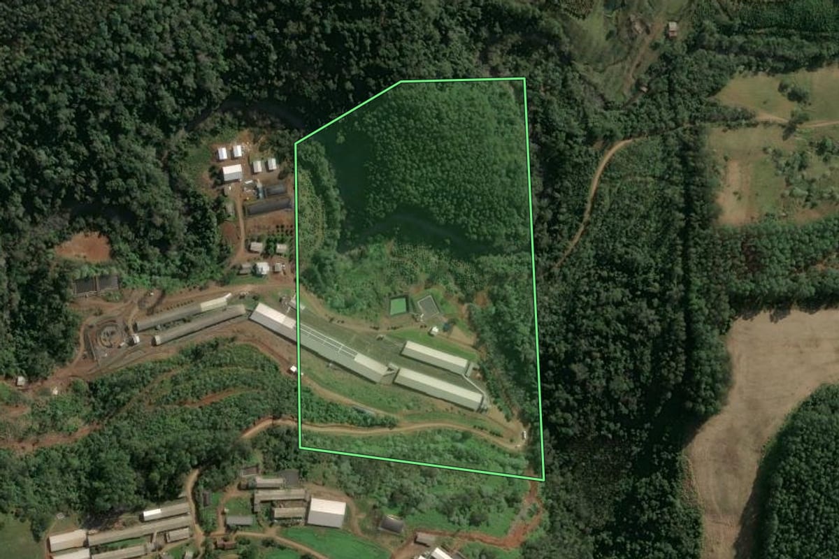 Imagem de satélite do imóvel rural em Seara (SC), com o contorno declarado no CAR desenhado por cima.