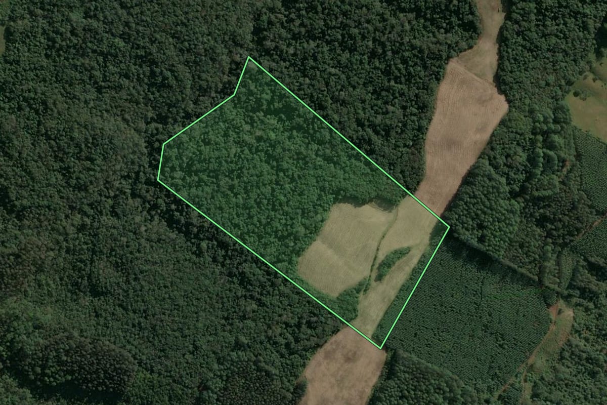 Imagem de satélite do imóvel rural em Seara (SC), com o contorno declarado no CAR desenhado por cima.