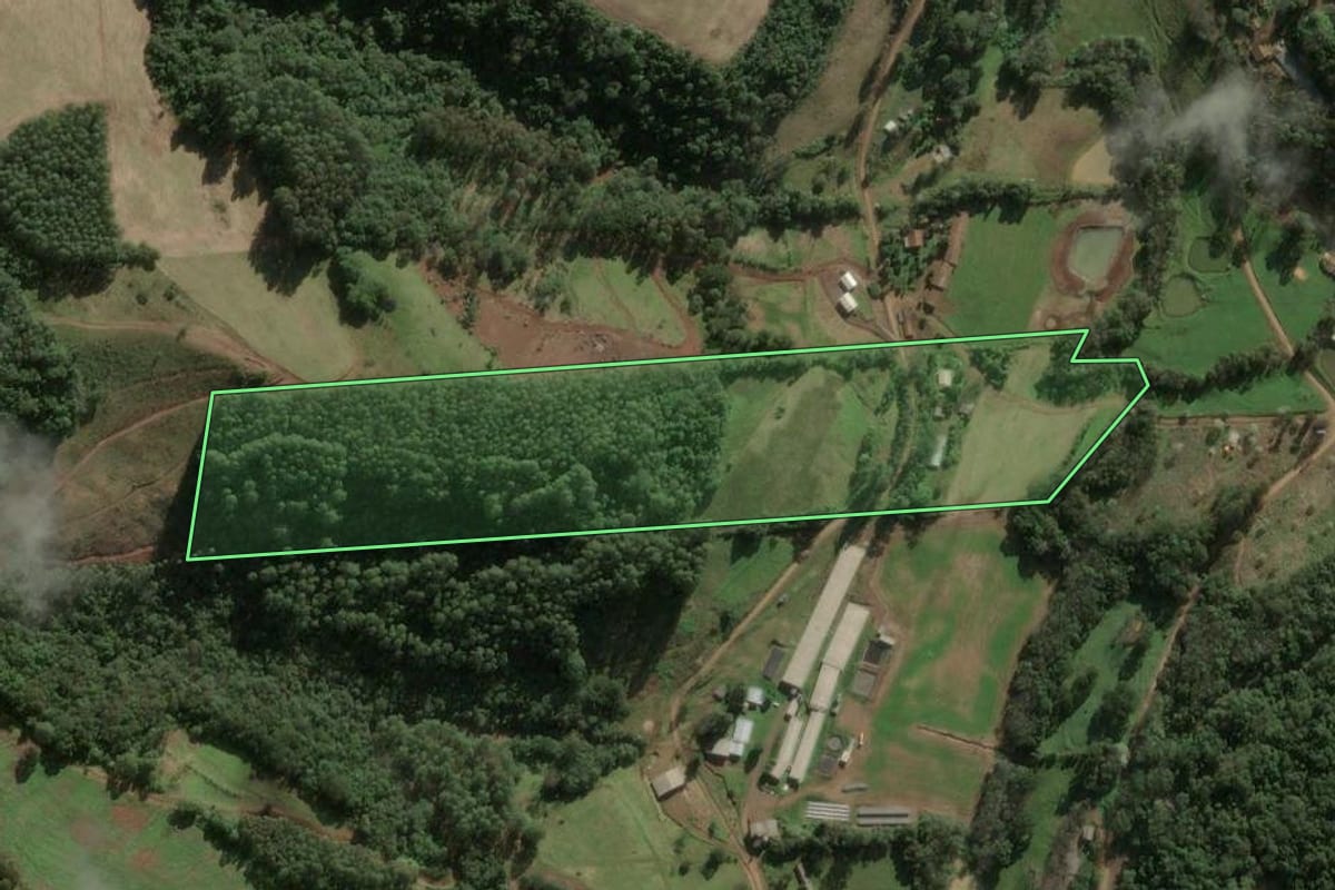 Imagem de satélite do imóvel rural em Seara (SC), com o contorno declarado no CAR desenhado por cima.