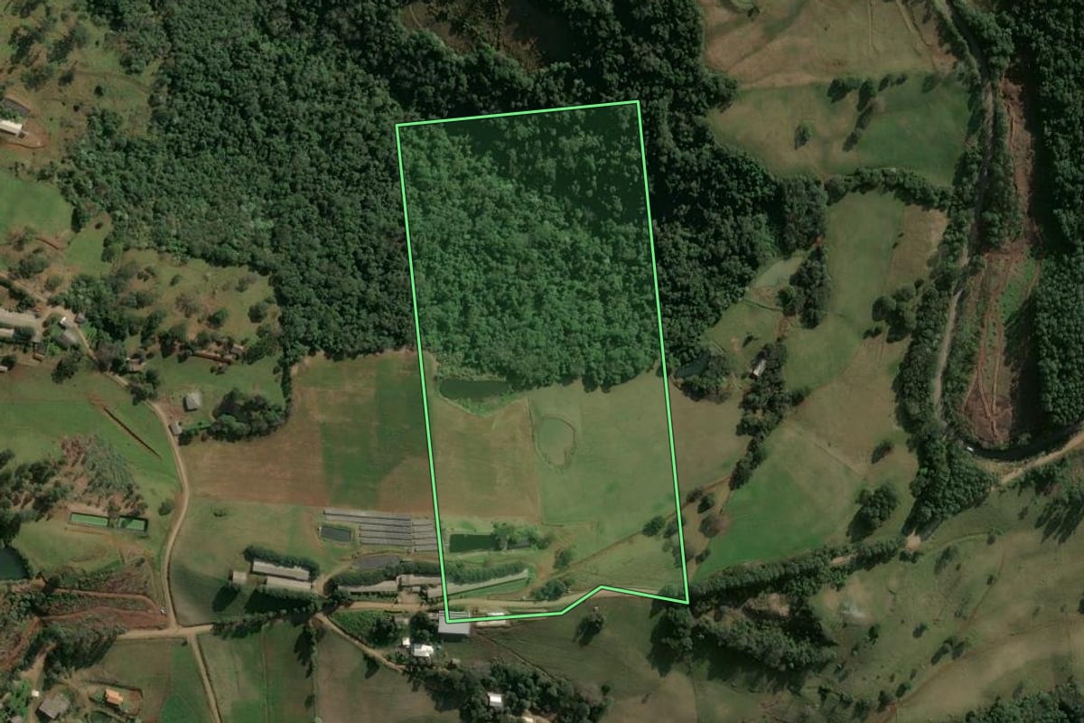 Imagem de satélite do imóvel rural em Seara (SC), com o contorno declarado no CAR desenhado por cima.
