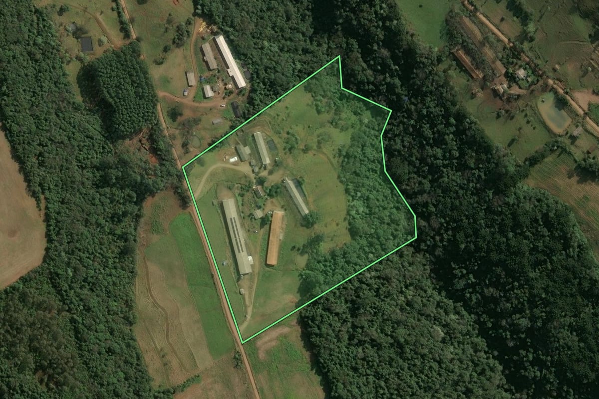 Imagem de satélite do imóvel rural em Seara (SC), com o contorno declarado no CAR desenhado por cima.