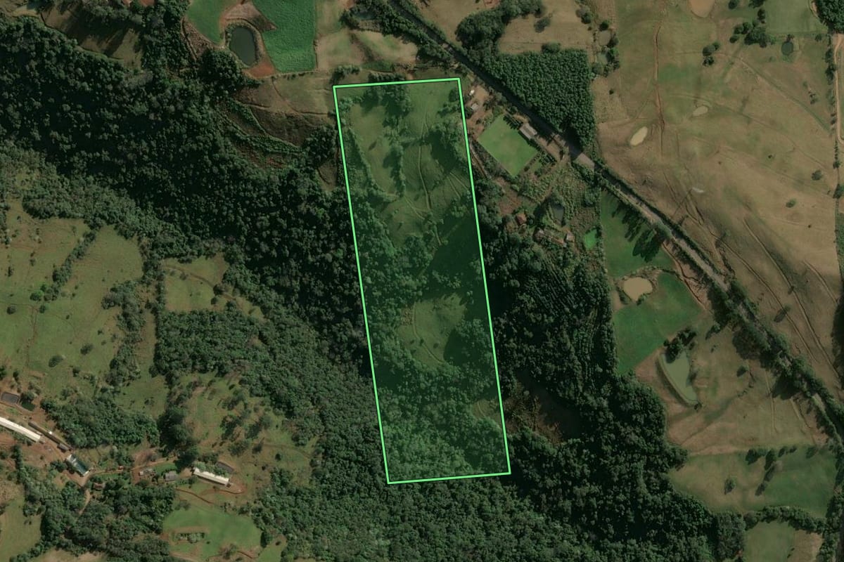 Imagem de satélite do imóvel rural em Seara (SC), com o contorno declarado no CAR desenhado por cima.