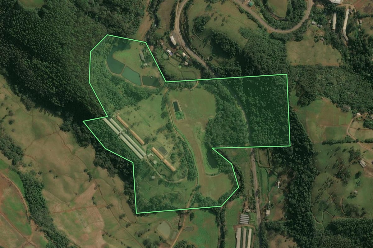 Imagem de satélite do imóvel rural em Seara (SC), com o contorno declarado no CAR desenhado por cima.