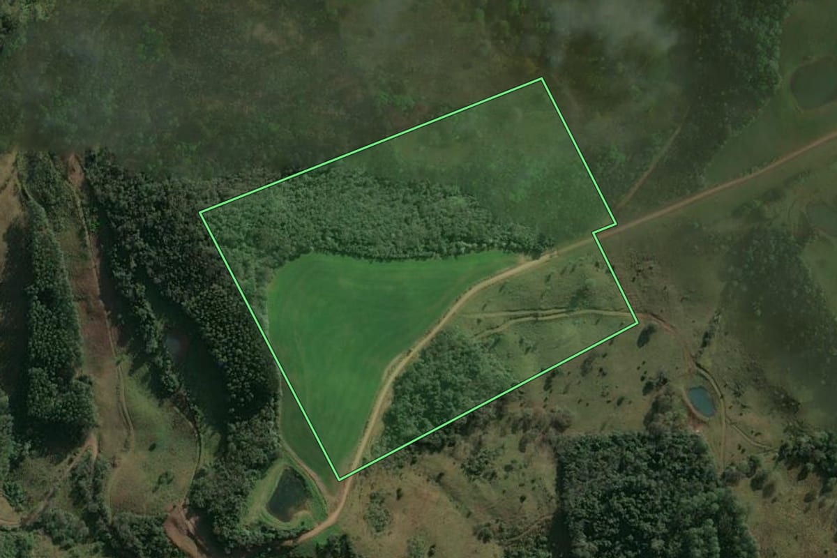 Imagem de satélite do imóvel rural em Seara (SC), com o contorno declarado no CAR desenhado por cima.