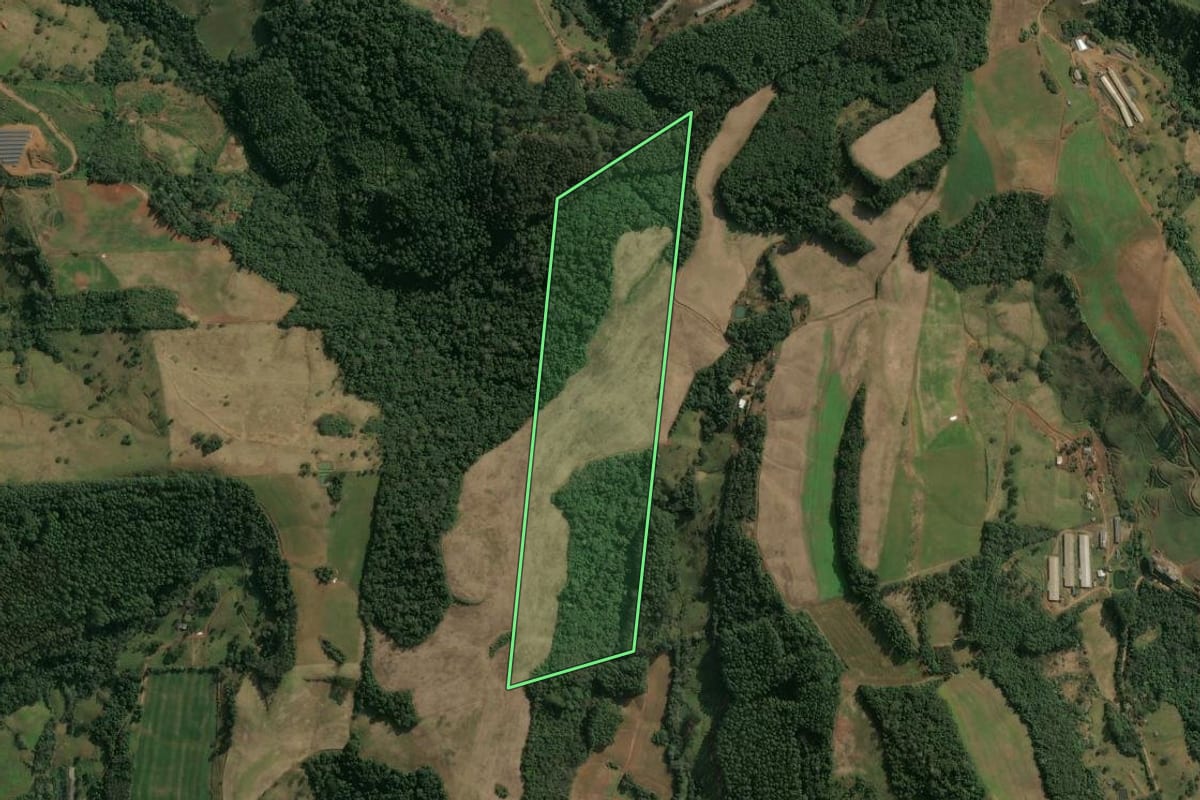 Imagem de satélite do imóvel rural em Seara (SC), com o contorno declarado no CAR desenhado por cima.