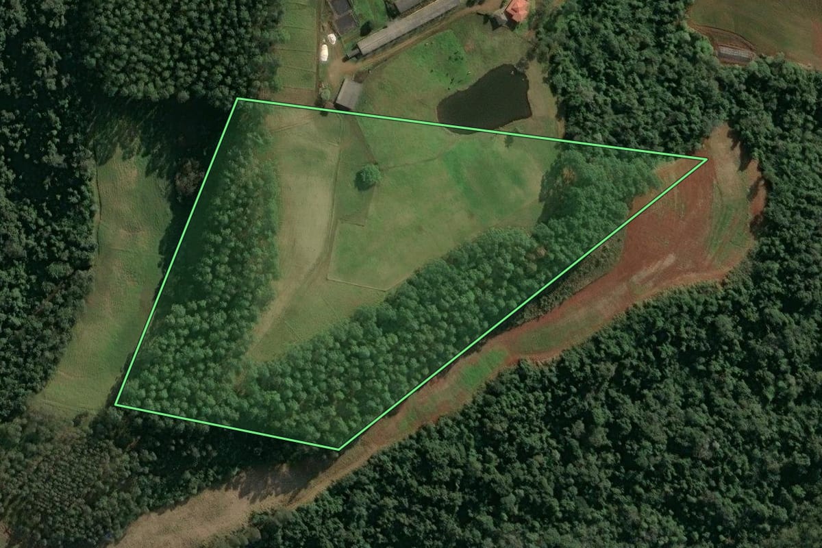 Imagem de satélite do imóvel rural em Seara (SC), com o contorno declarado no CAR desenhado por cima.