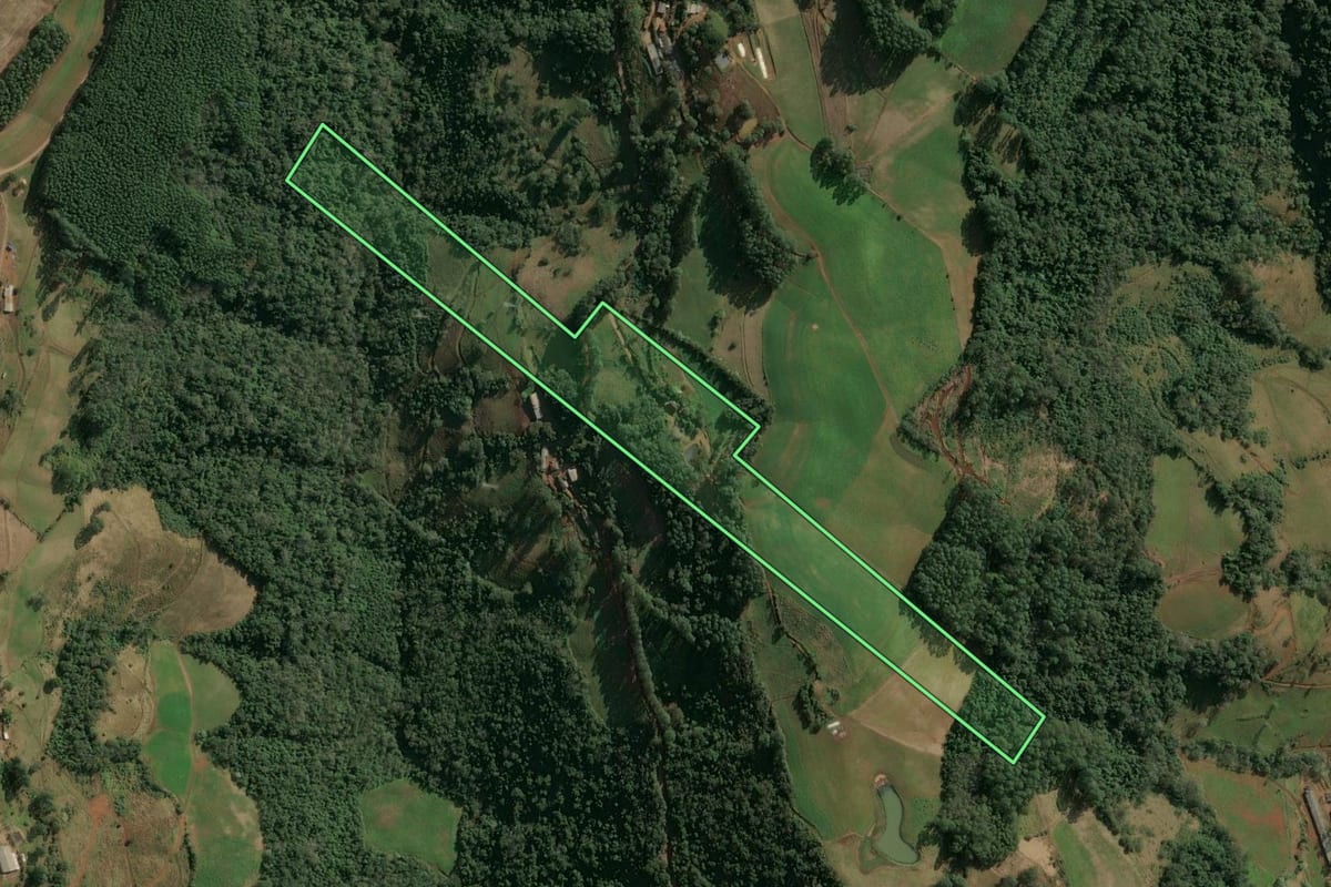 Imagem de satélite do imóvel rural em Seara (SC), com o contorno declarado no CAR desenhado por cima.