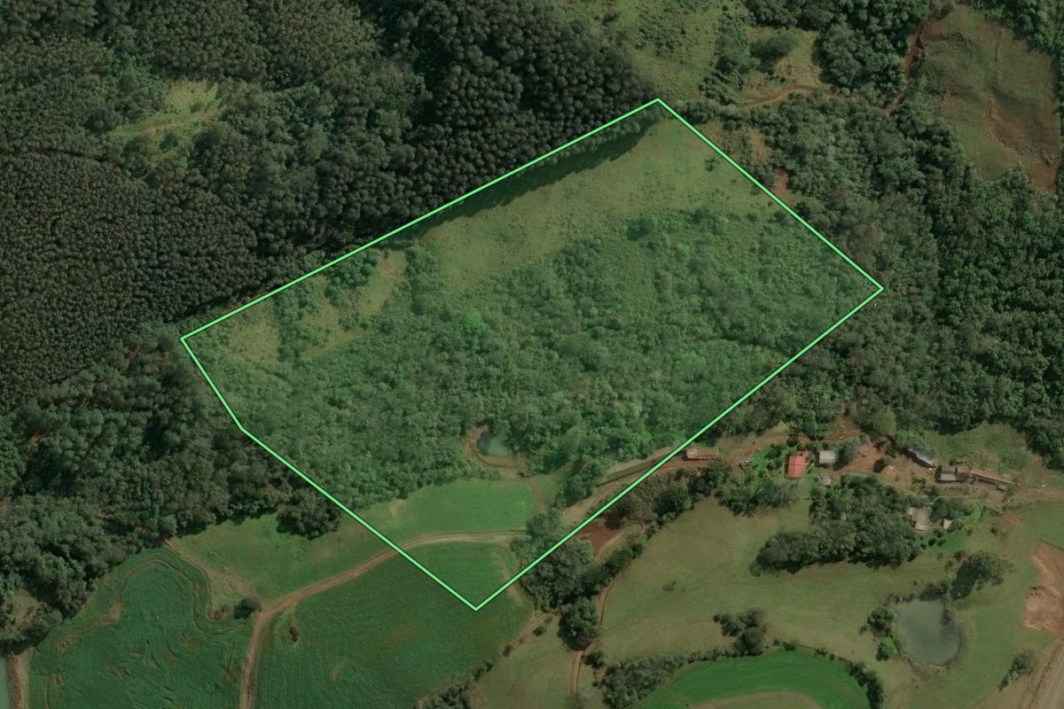 Imagem de satélite do imóvel rural em Seara (SC), com o contorno declarado no CAR desenhado por cima.