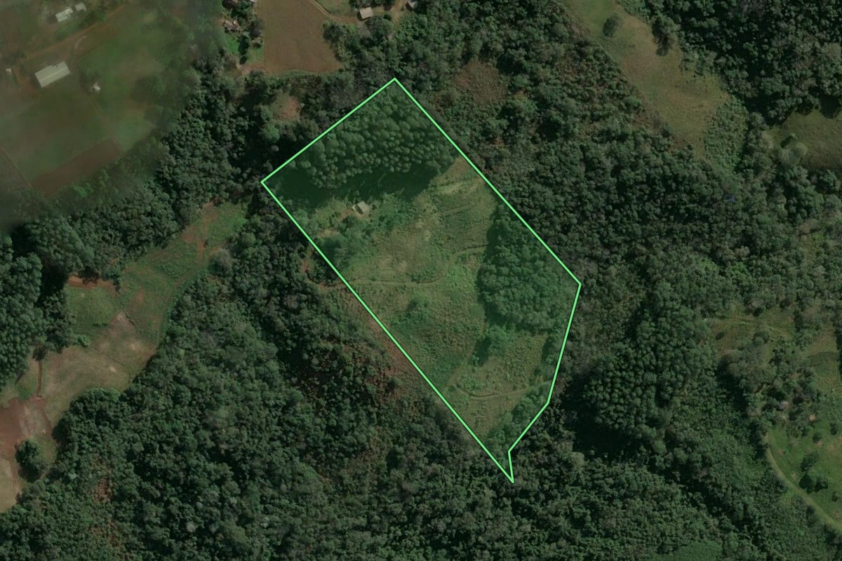 Imagem de satélite do imóvel rural em Seara (SC), com o contorno declarado no CAR desenhado por cima.