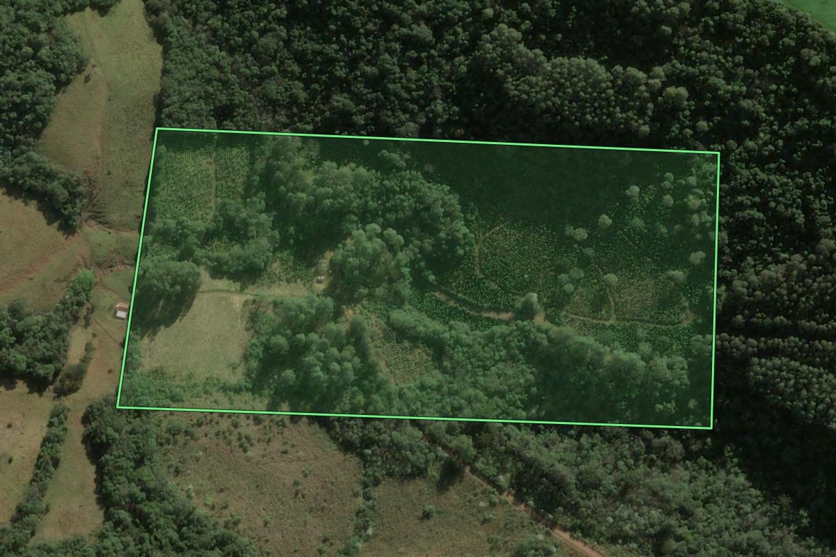 Imagem de satélite do imóvel rural em Seara (SC), com o contorno declarado no CAR desenhado por cima.