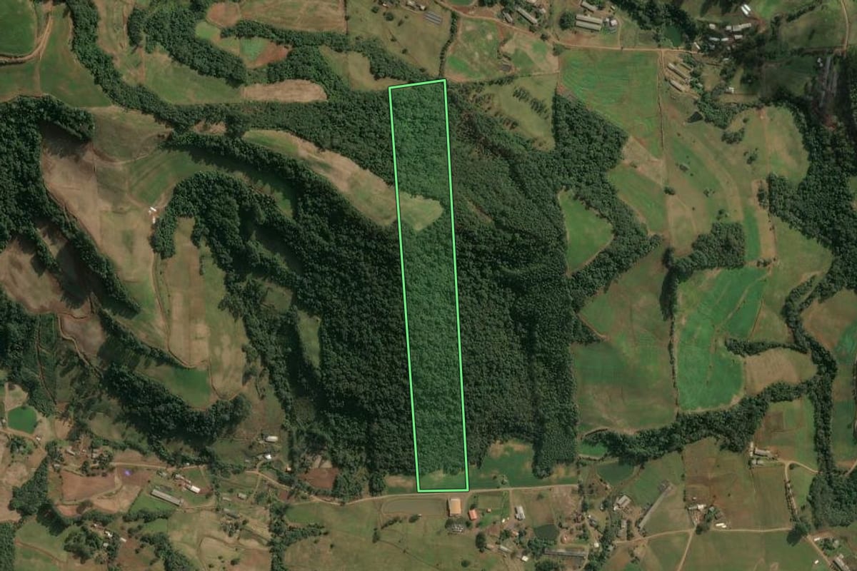 Imagem de satélite do imóvel rural em Seara (SC), com o contorno declarado no CAR desenhado por cima.
