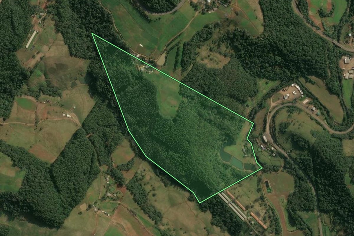 Imagem de satélite do imóvel rural em Seara (SC), com o contorno declarado no CAR desenhado por cima.