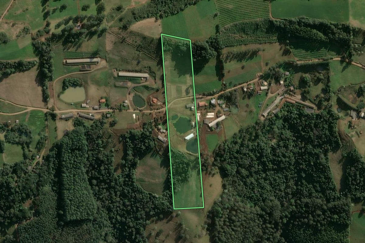 Imagem de satélite do imóvel rural em Seara (SC), com o contorno declarado no CAR desenhado por cima.