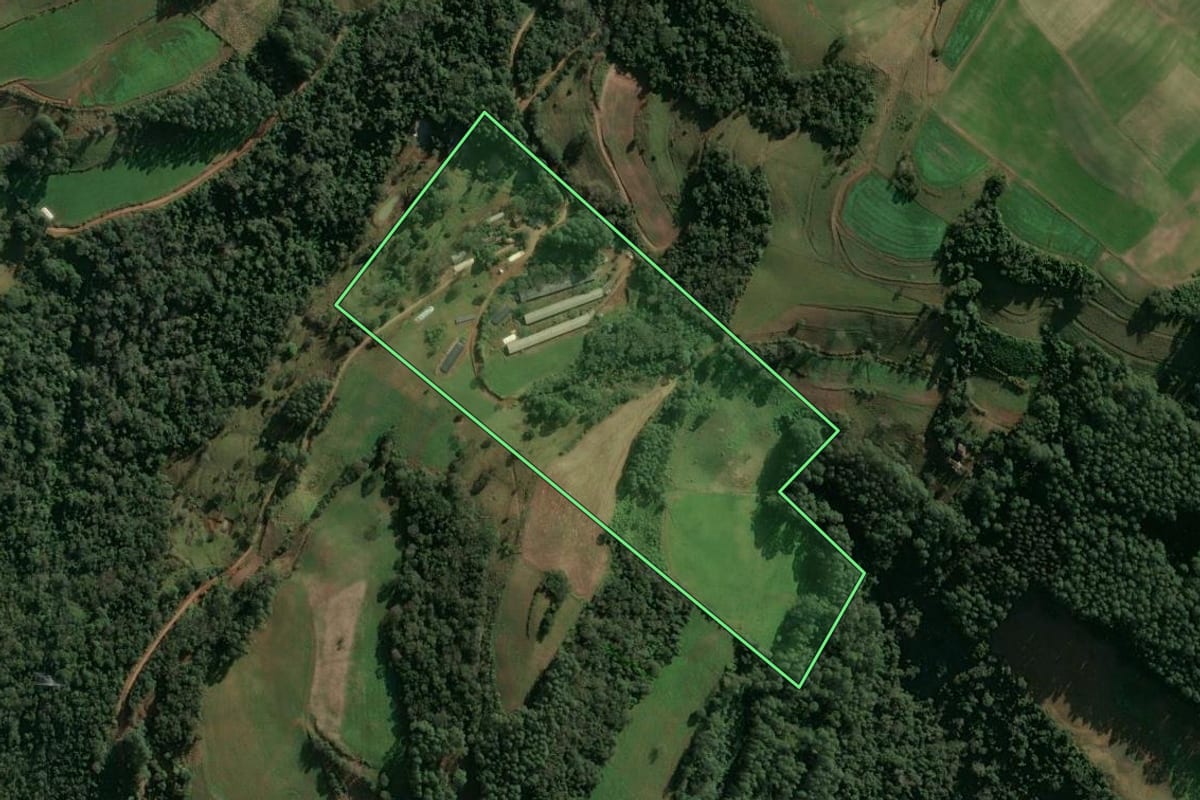 Imagem de satélite do imóvel rural em Seara (SC), com o contorno declarado no CAR desenhado por cima.