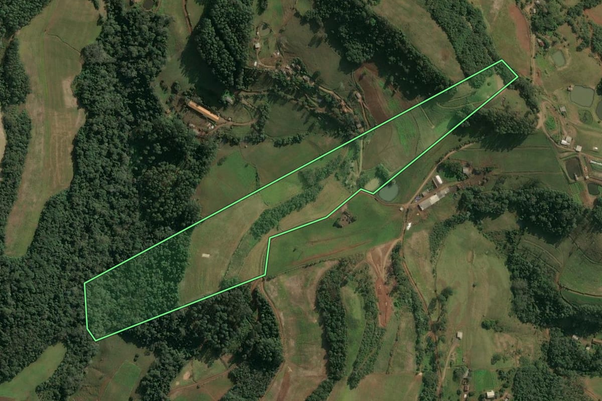 Imagem de satélite do imóvel rural em Seara (SC), com o contorno declarado no CAR desenhado por cima.