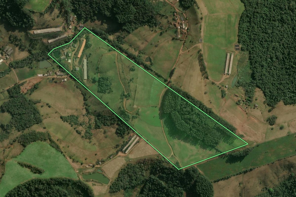 Imagem de satélite do imóvel rural em Seara (SC), com o contorno declarado no CAR desenhado por cima.