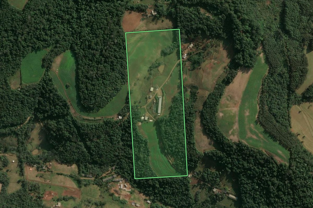 Imagem de satélite do imóvel rural em Seara (SC), com o contorno declarado no CAR desenhado por cima.
