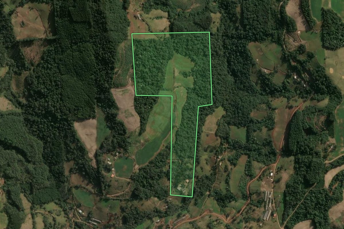 Imagem de satélite do imóvel rural em Seara (SC), com o contorno declarado no CAR desenhado por cima.