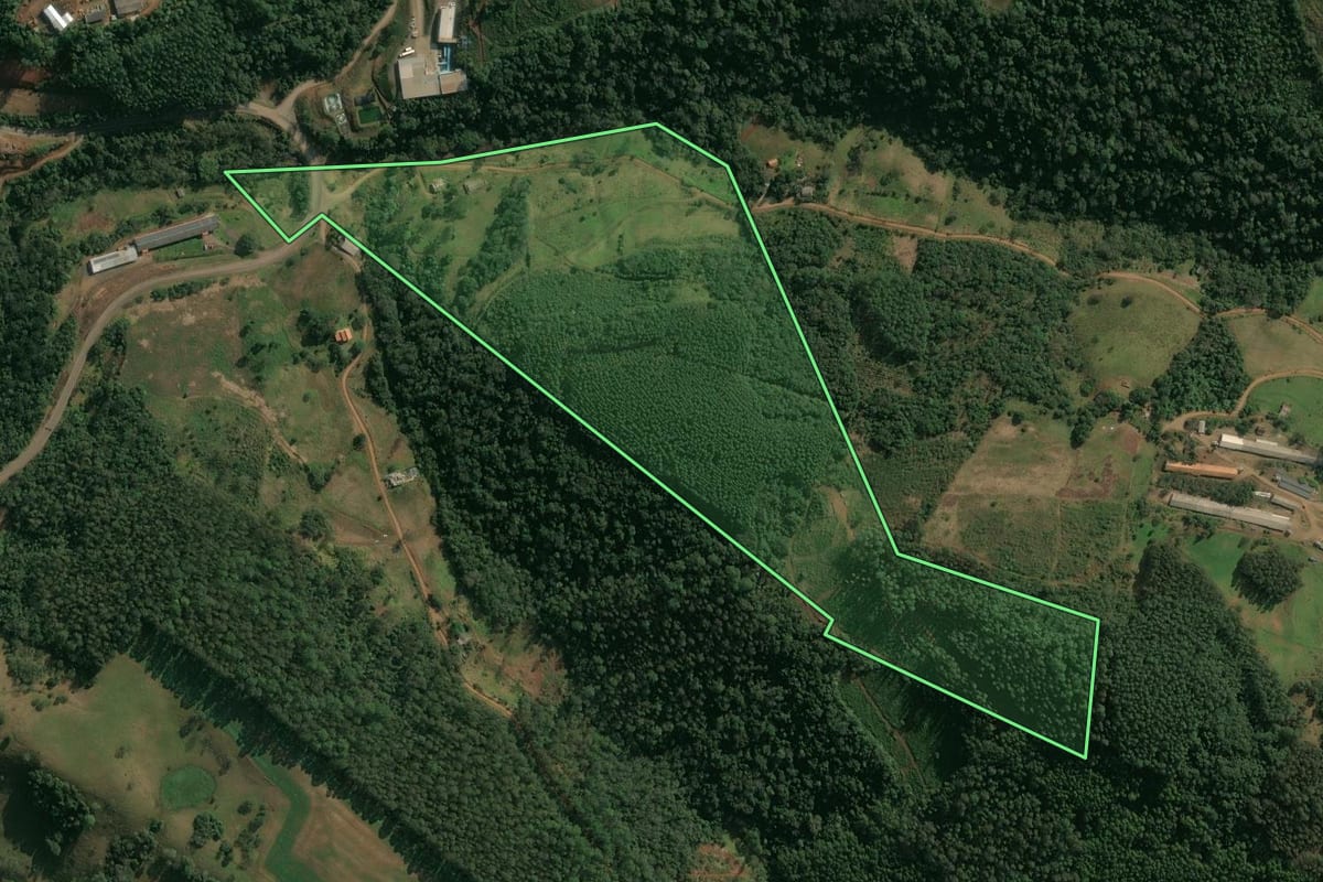 Imagem de satélite do imóvel rural em Seara (SC), com o contorno declarado no CAR desenhado por cima.