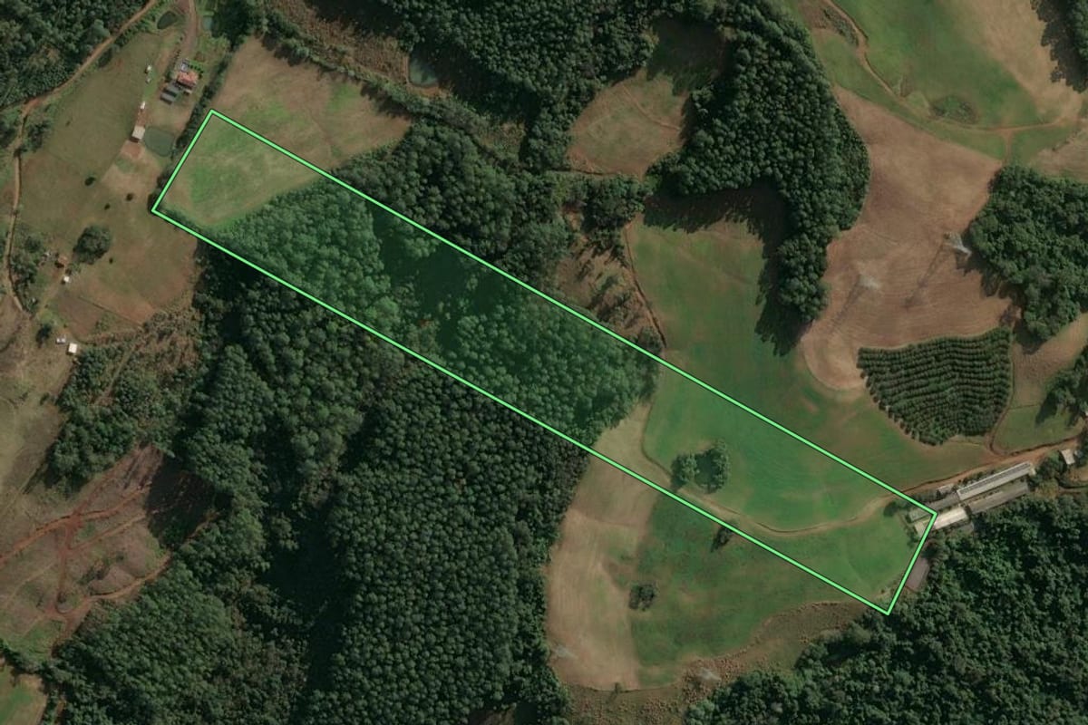 Imagem de satélite do imóvel rural em Seara (SC), com o contorno declarado no CAR desenhado por cima.