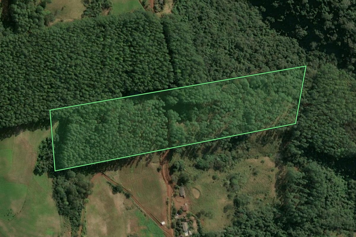 Imagem de satélite do imóvel rural em Seara (SC), com o contorno declarado no CAR desenhado por cima.