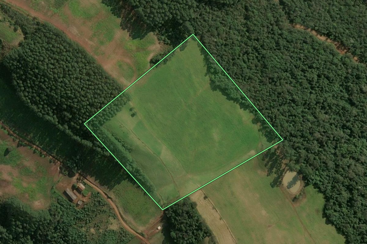 Imagem de satélite do imóvel rural em Seara (SC), com o contorno declarado no CAR desenhado por cima.