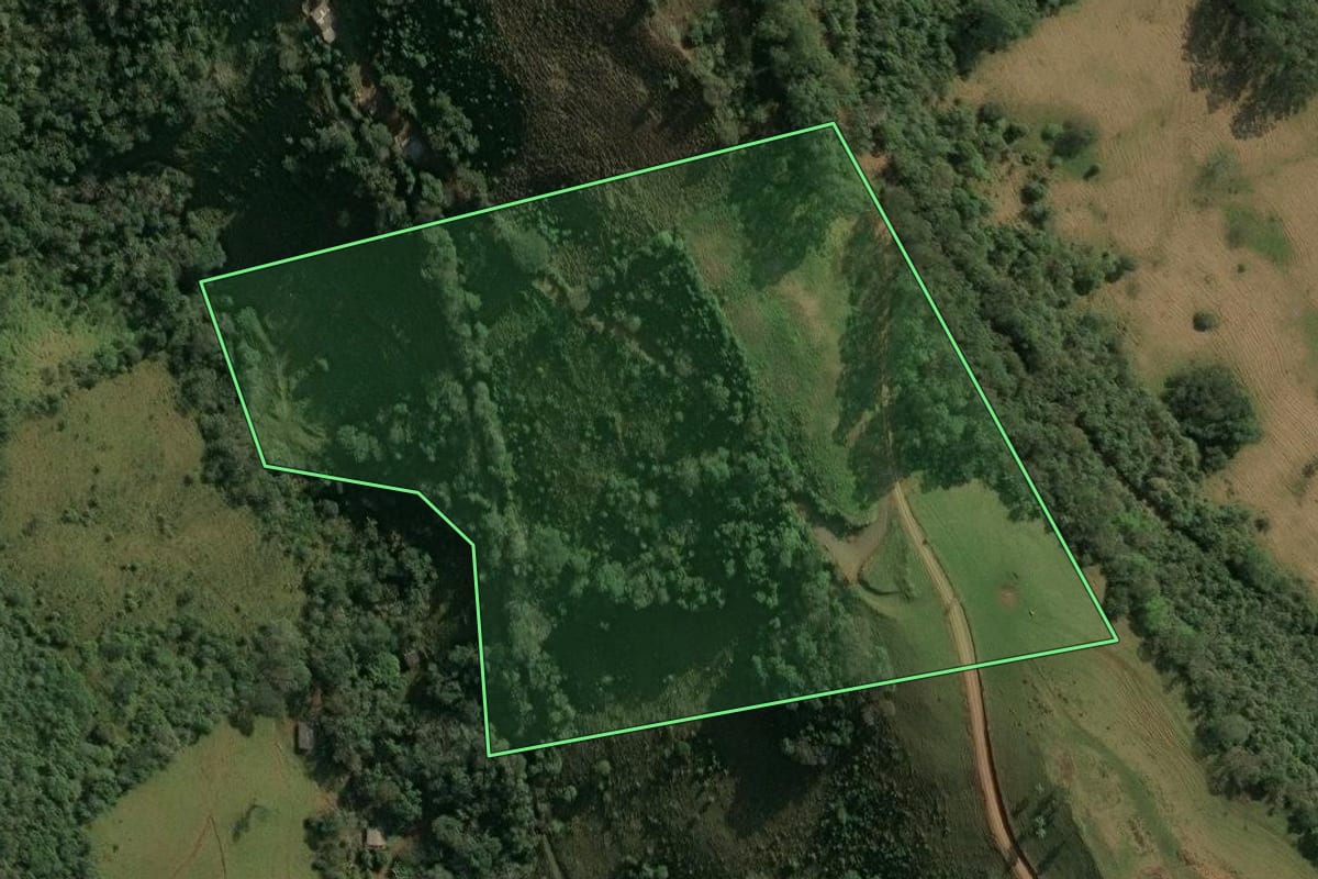 Imagem de satélite do imóvel rural em Seara (SC), com o contorno declarado no CAR desenhado por cima.