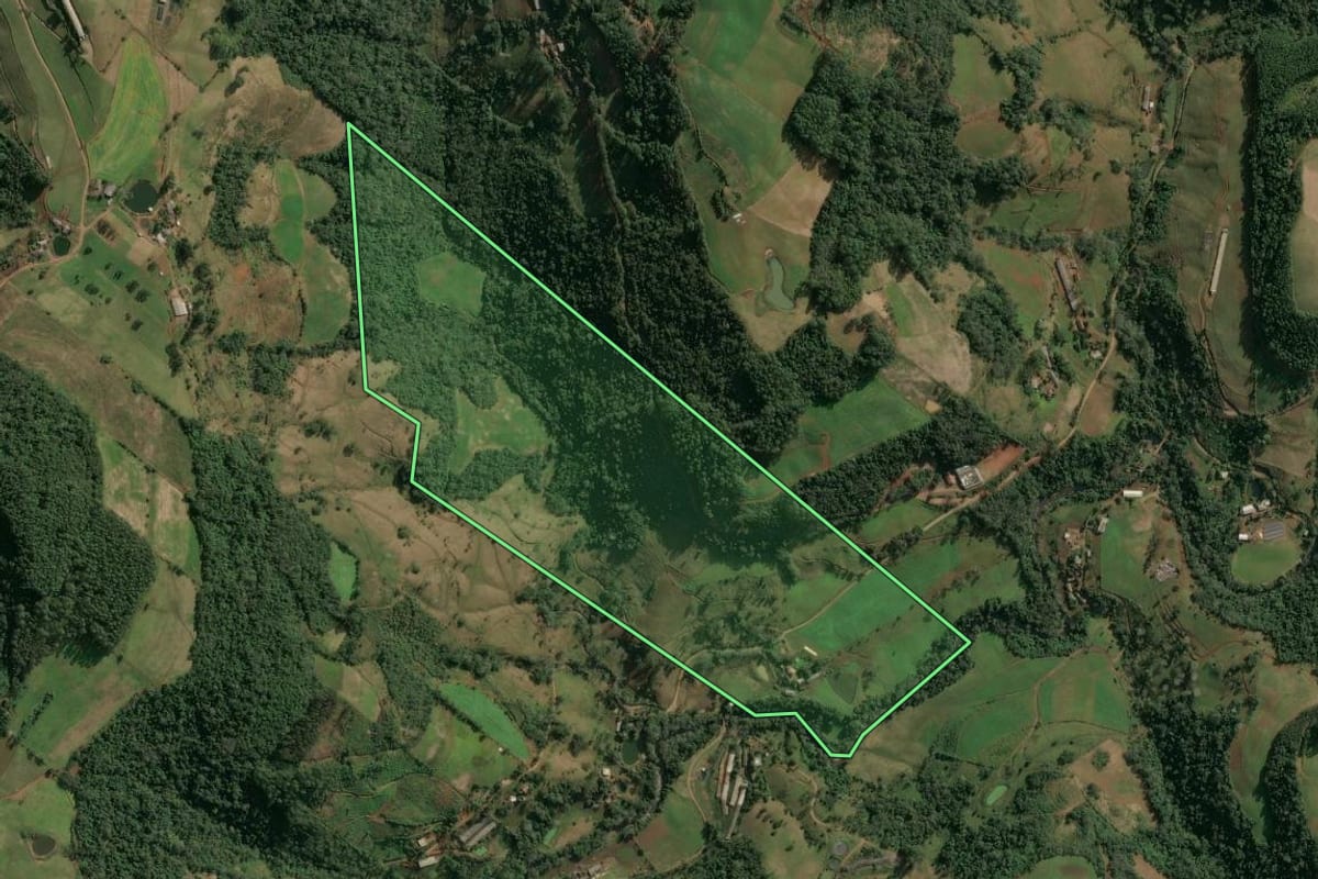 Imagem de satélite do imóvel rural em Seara (SC), com o contorno declarado no CAR desenhado por cima.