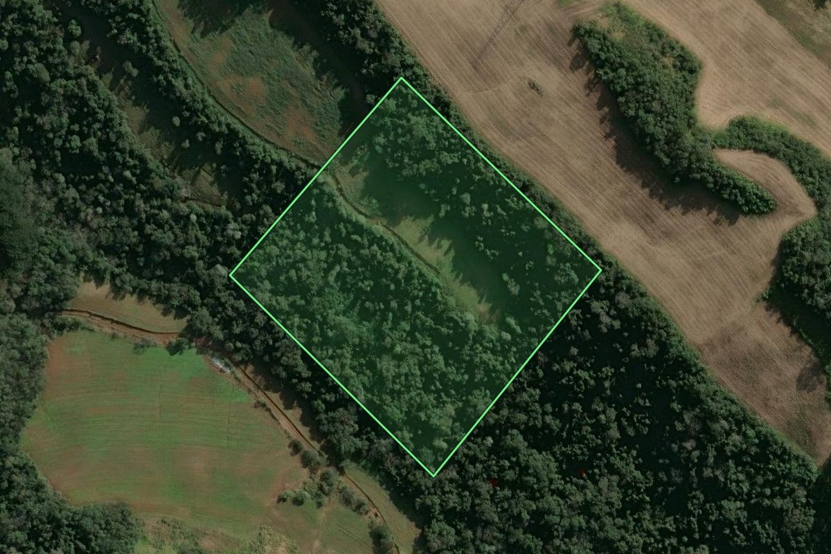Imagem de satélite do imóvel rural em Seara (SC), com o contorno declarado no CAR desenhado por cima.