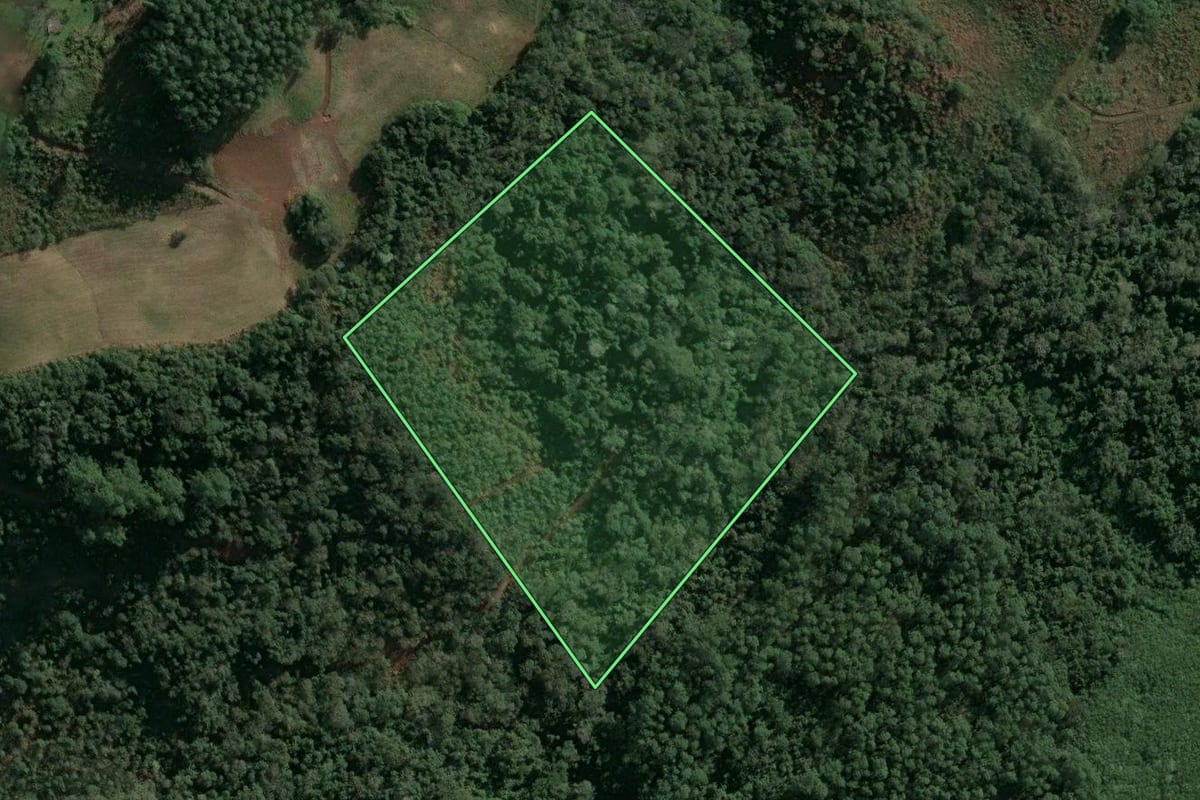 Imagem de satélite do imóvel rural em Seara (SC), com o contorno declarado no CAR desenhado por cima.