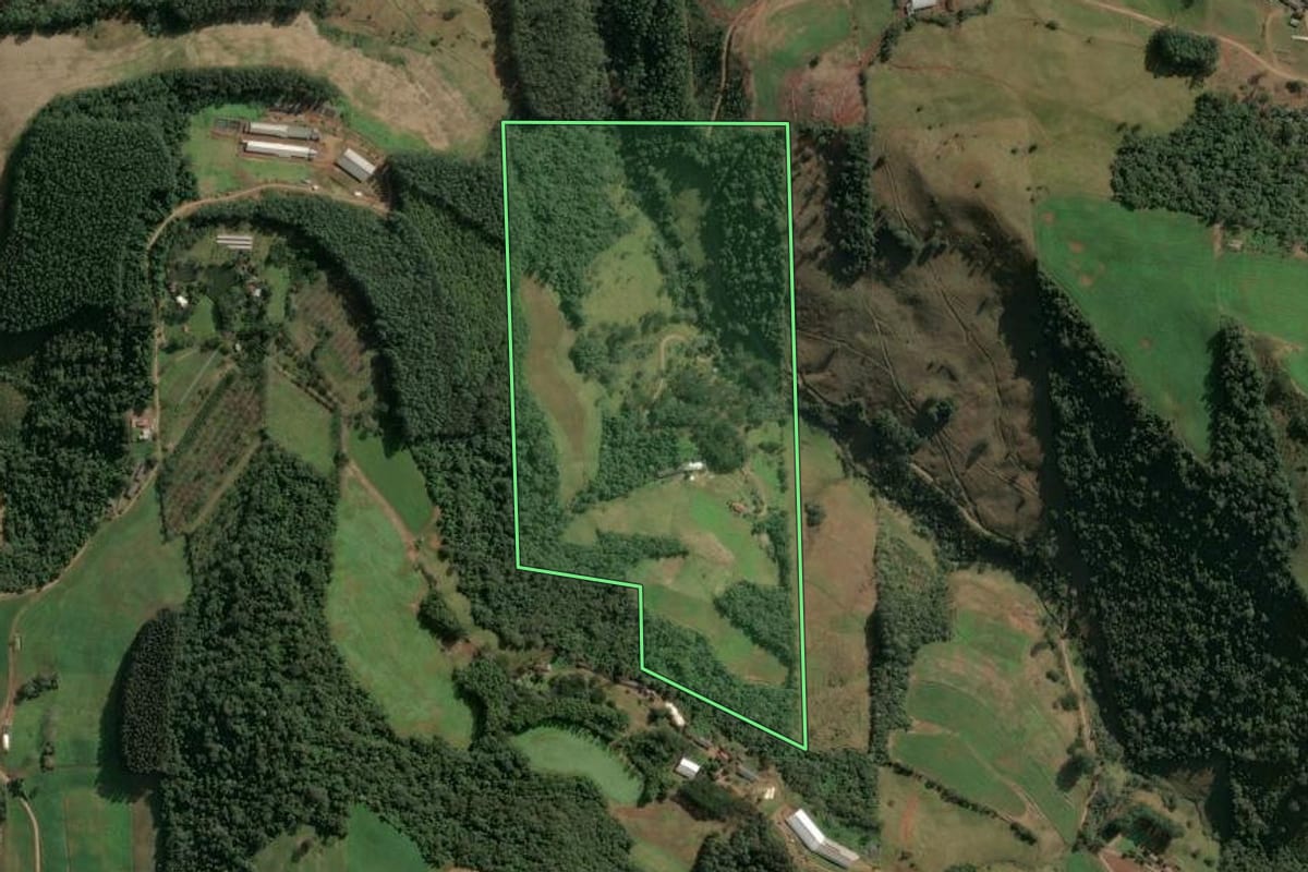 Imagem de satélite do imóvel rural em Seara (SC), com o contorno declarado no CAR desenhado por cima.