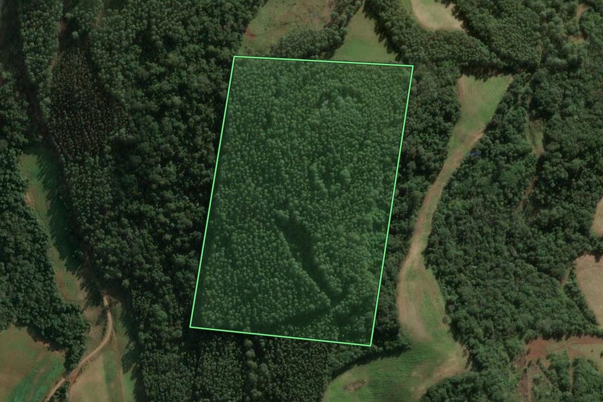 Imagem de satélite do imóvel rural em Seara (SC), com o contorno declarado no CAR desenhado por cima.